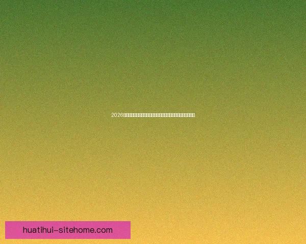 2026世界杯电视直播全方位指南：各大平台观看方法与精彩赛事预告